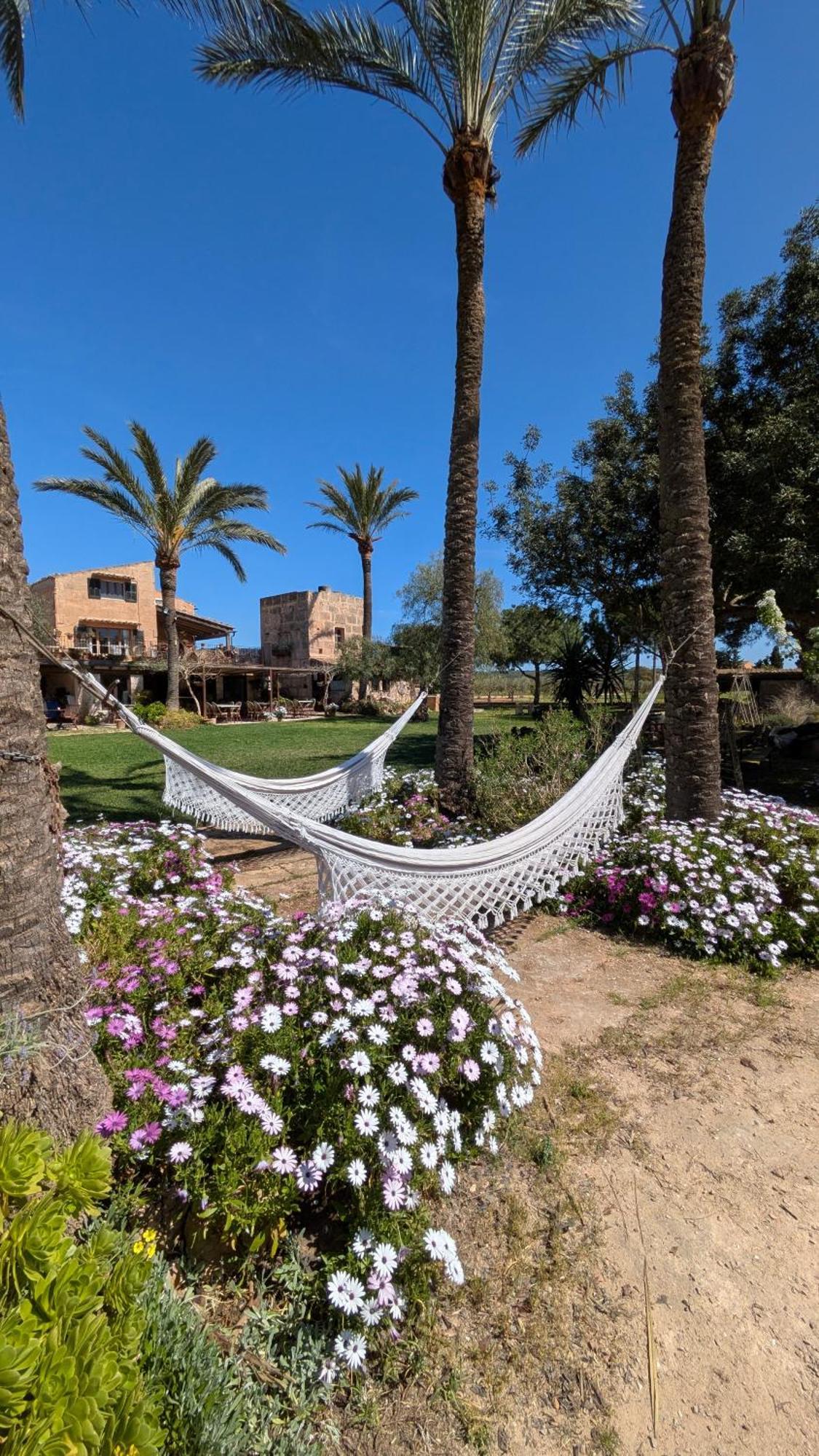 Agroturismo Finca Sant Blai Campos  Exterior foto