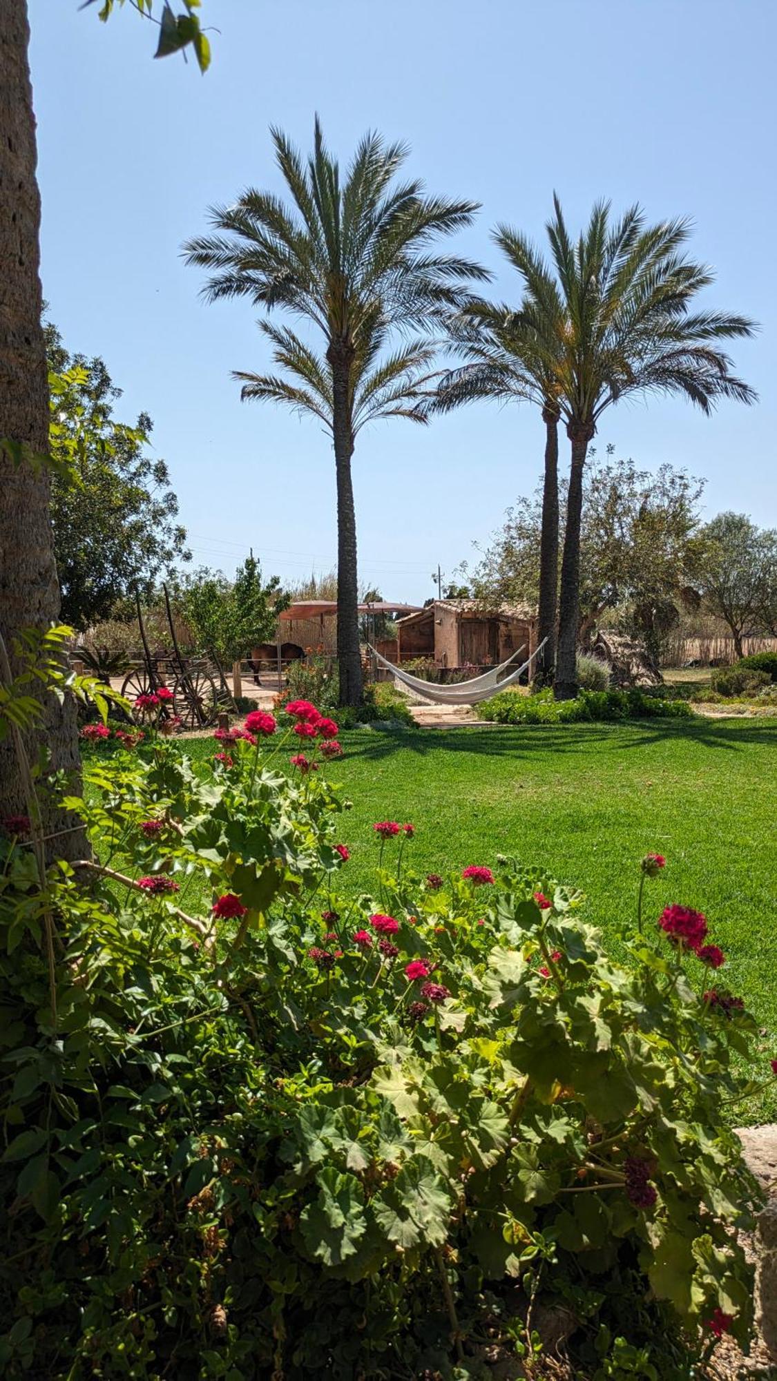 Agroturismo Finca Sant Blai Campos  Exterior foto